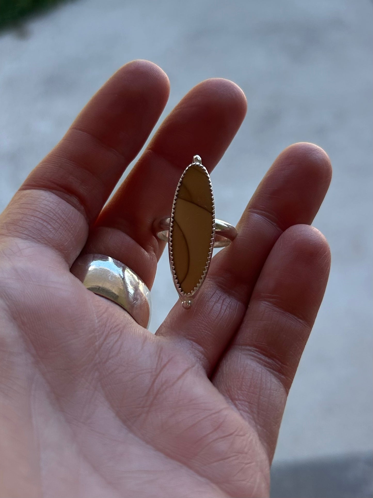 Bruneau Jasper Ring