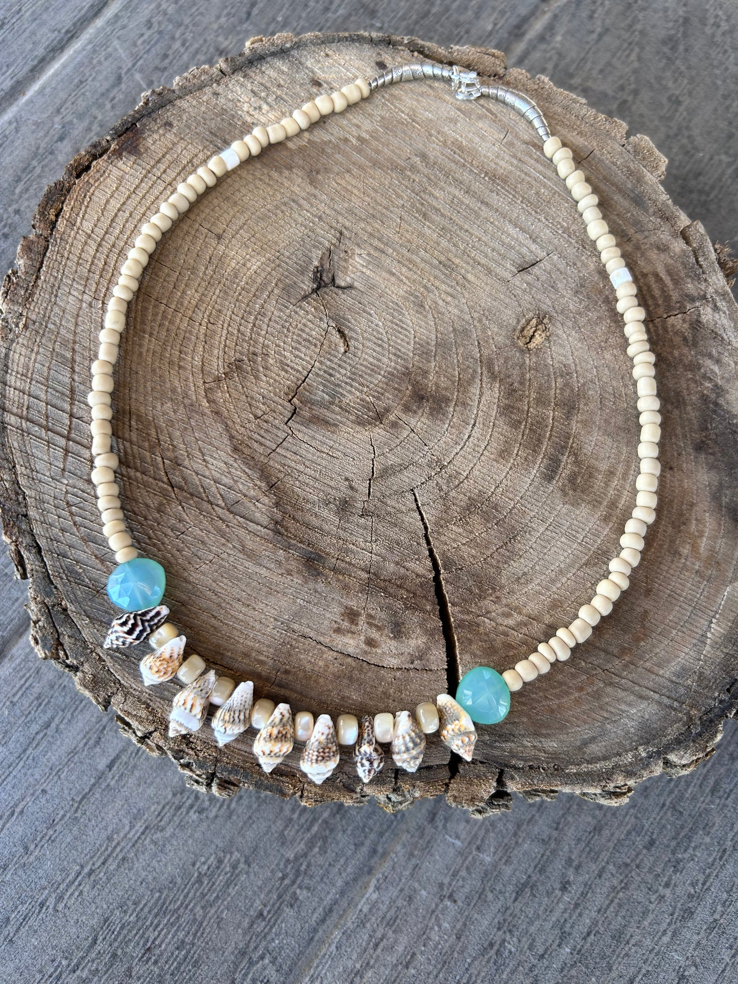 Shell 🐚 Necklace