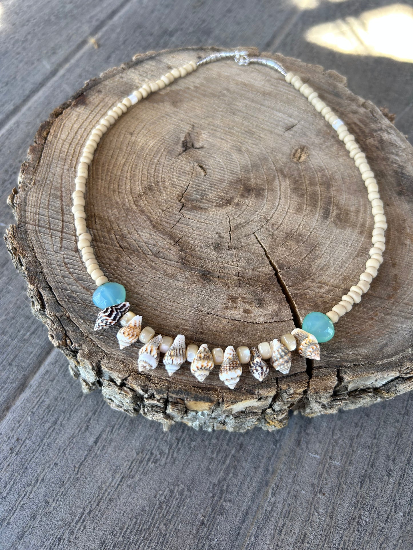 Shell 🐚 Necklace