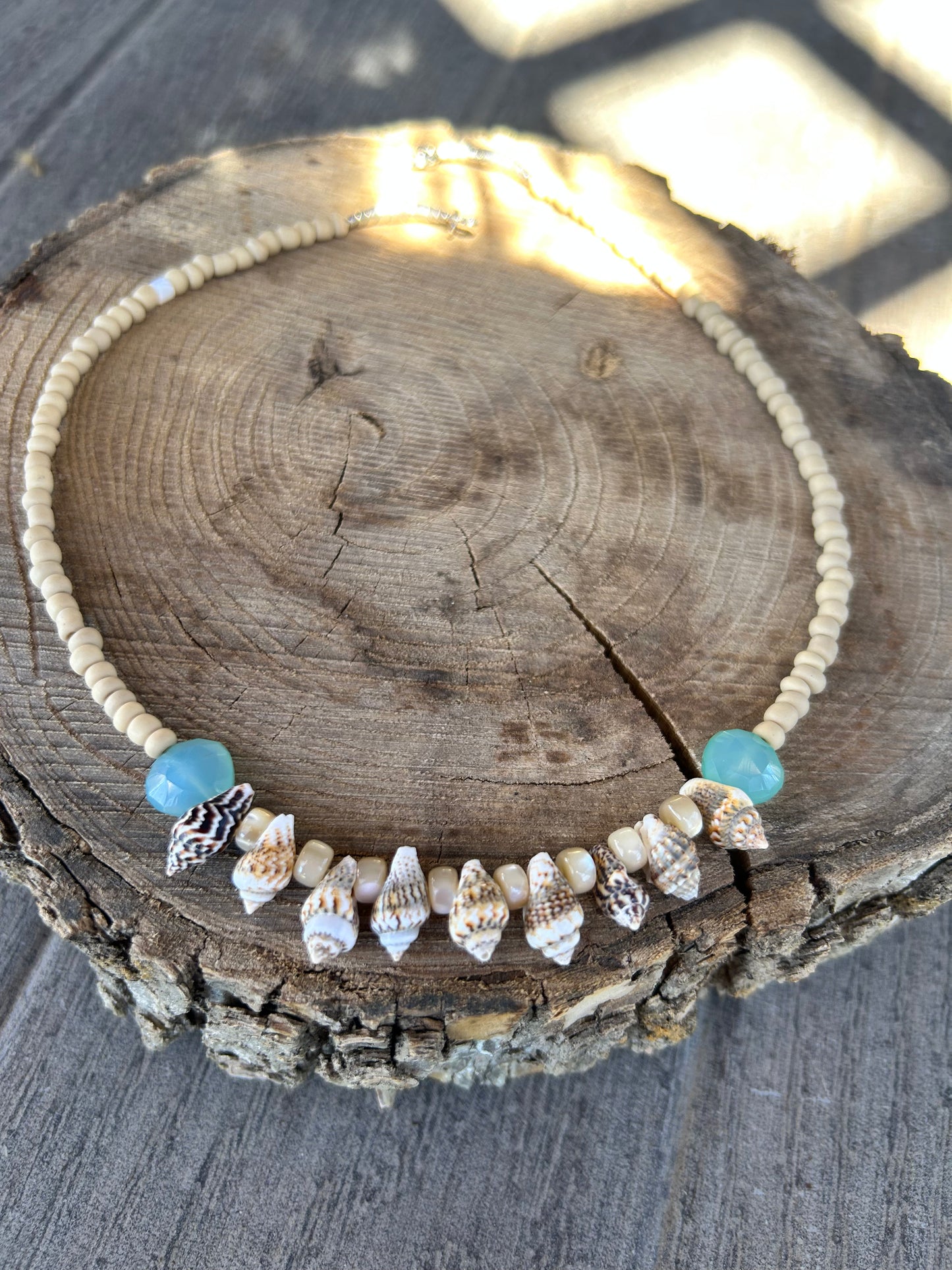 Shell 🐚 Necklace