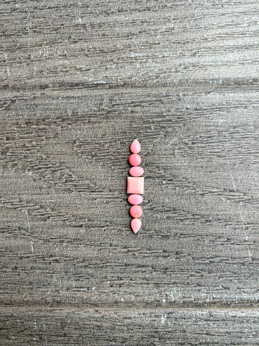 Pink Conch (Custom)