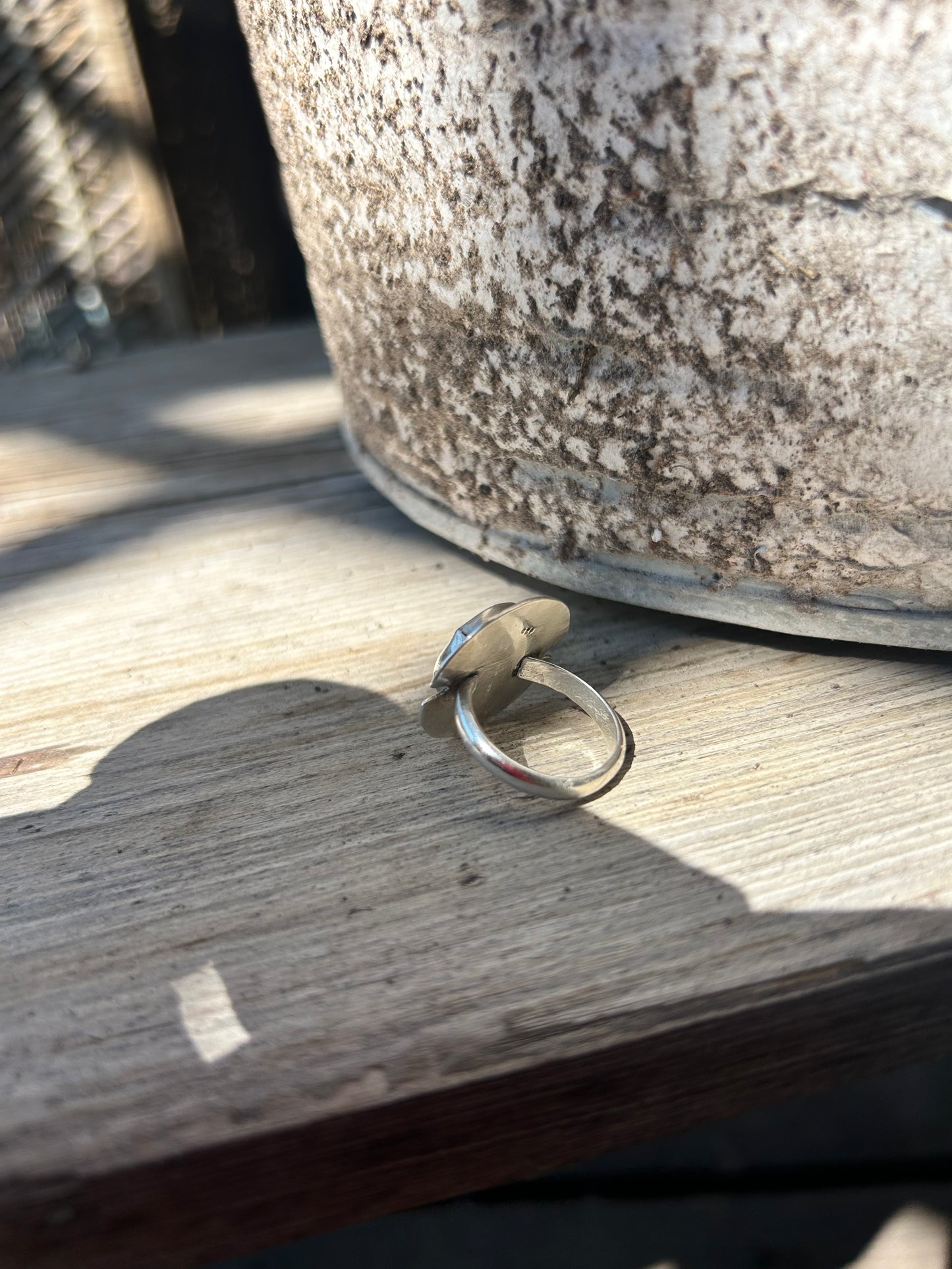 The Compass Ring
